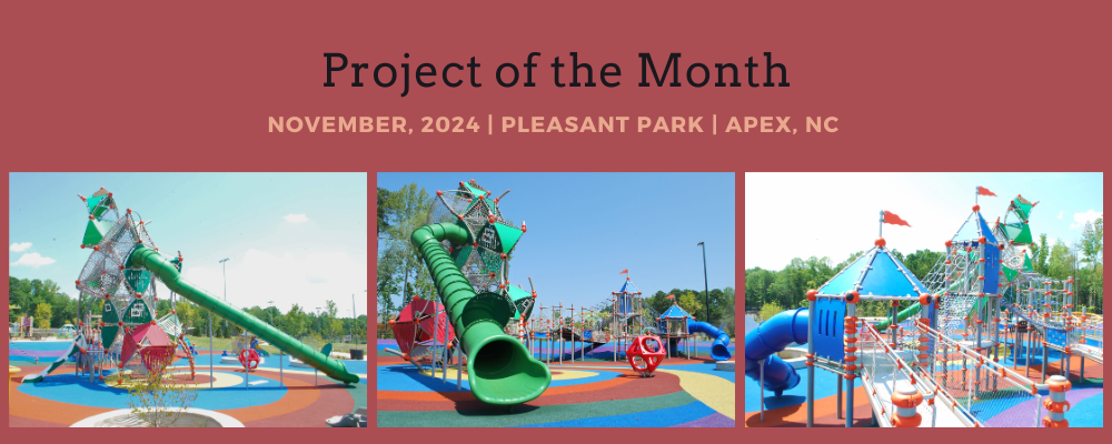 Project of the month- Nov